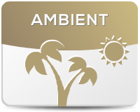 Ambient