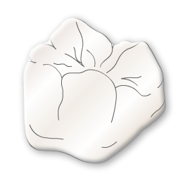 Dentale Manufaktur GmbH