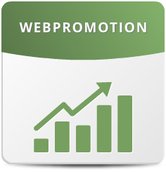 Web Promotion